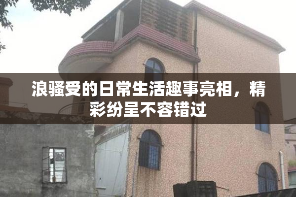 浪骚受的日常生活趣事亮相，精彩纷呈不容错过