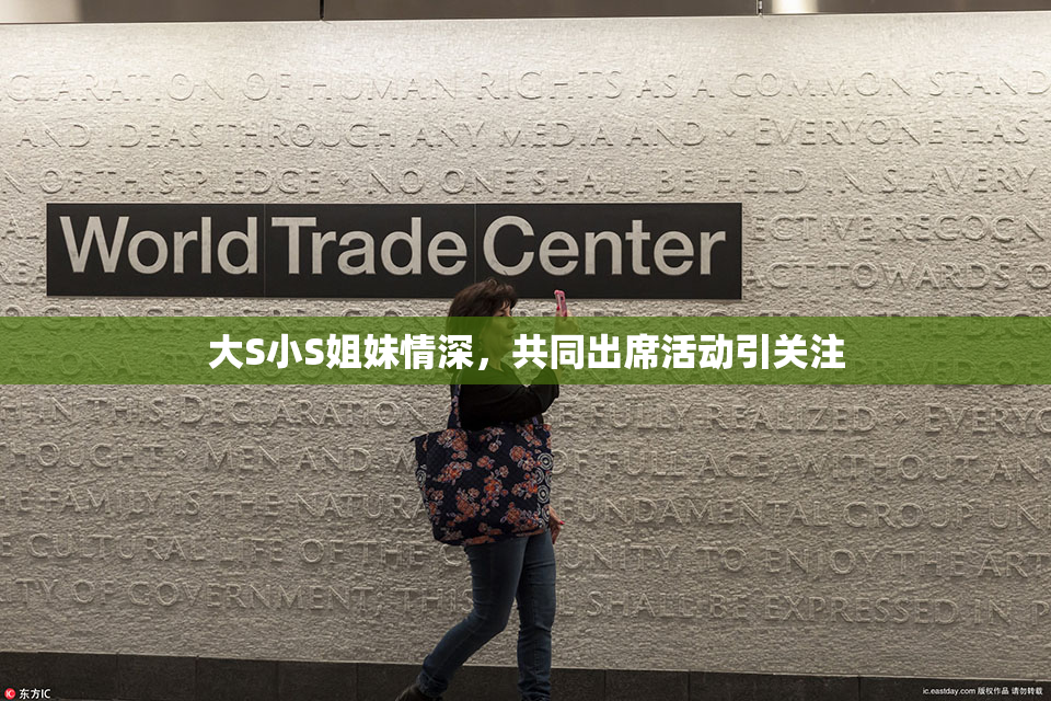 大S小S姐妹情深，共同出席活动引关注