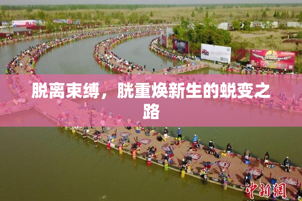 脱离束缚，胱重焕新生的蜕变之路
