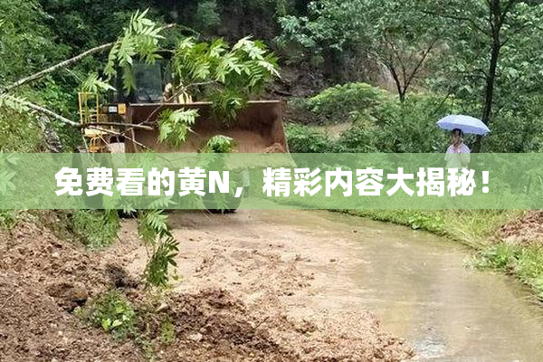 免费看的黄Ν，精彩内容大揭秘！
