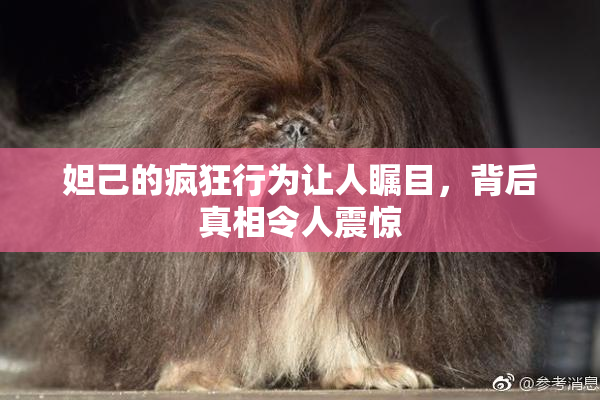 妲己的疯狂行为让人瞩目，背后真相令人震惊