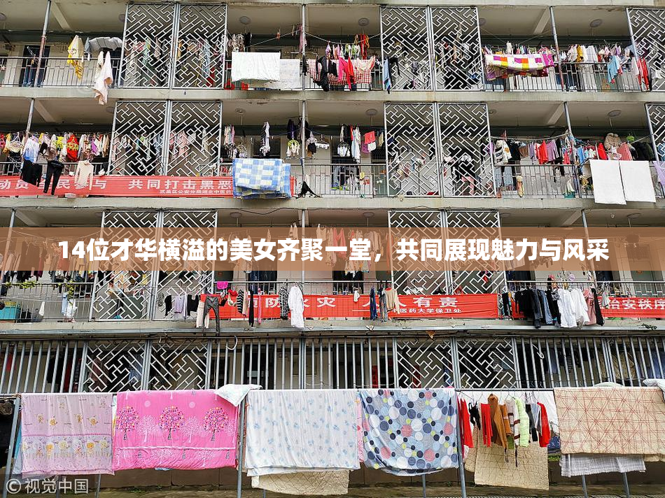 14位才华横溢的美女齐聚一堂，共同展现魅力与风采