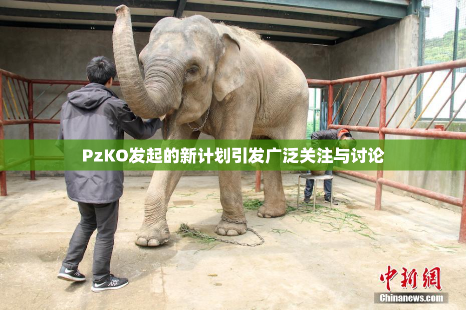 PzKO发起的新计划引发广泛关注与讨论
