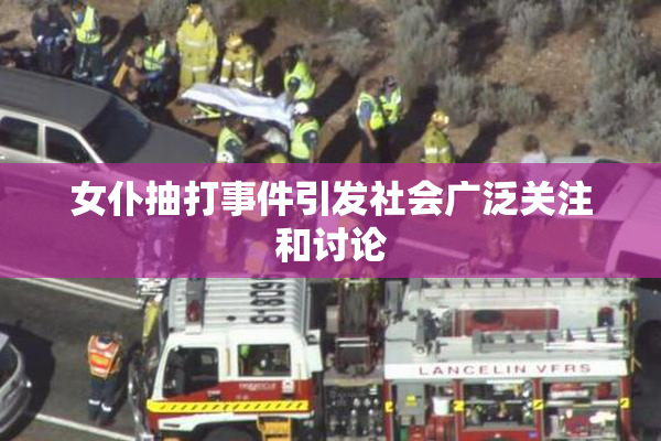 女仆抽打事件引发社会广泛关注和讨论