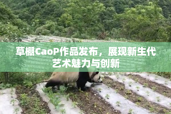 草棚CaoP作品发布，展现新生代艺术魅力与创新