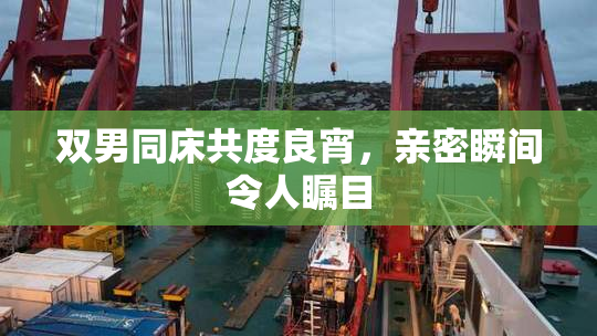双男同床共度良宵，亲密瞬间令人瞩目