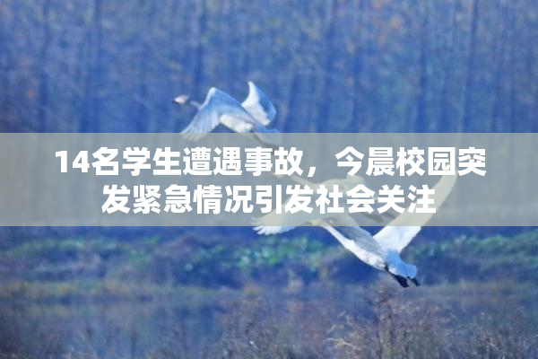 14名学生遭遇事故，今晨校园突发紧急情况引发社会关注