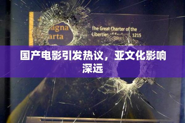 国产电影引发热议，亚文化影响深远