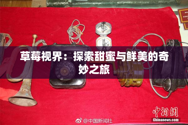 草莓视界：探索甜蜜与鲜美的奇妙之旅