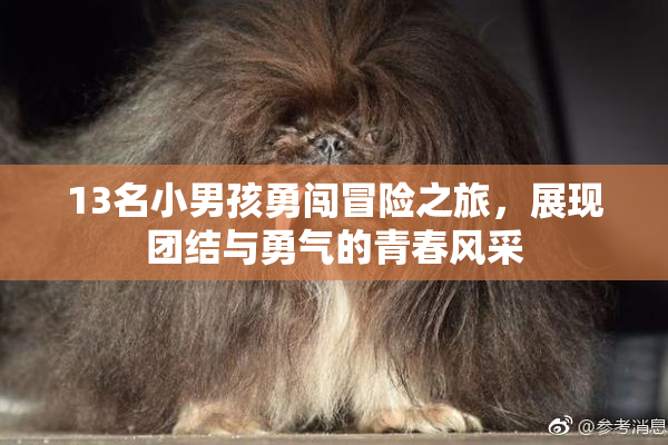 13名小男孩勇闯冒险之旅，展现团结与勇气的青春风采