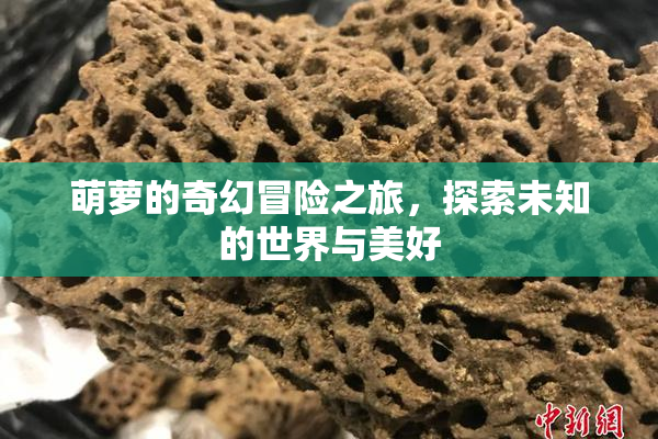 萌萝的奇幻冒险之旅，探索未知的世界与美好