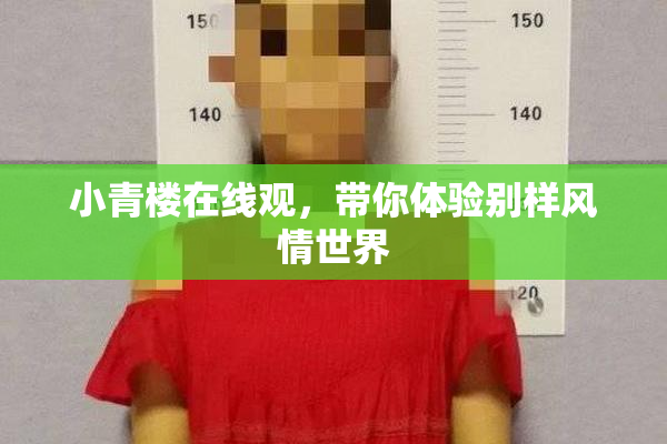小青楼在线观，带你体验别样风情世界