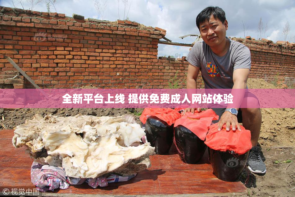 全新平台上线 提供免费成人网站体验