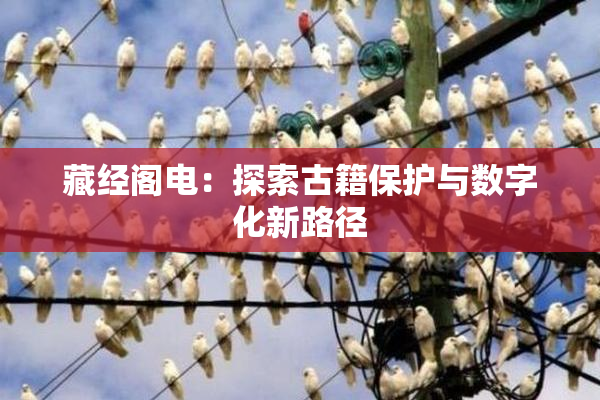 藏经阁电：探索古籍保护与数字化新路径