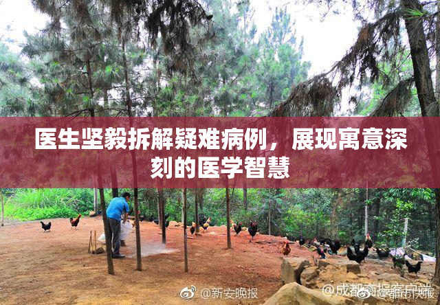 医生坚毅拆解疑难病例，展现寓意深刻的医学智慧