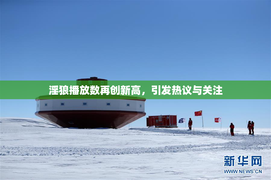 淫狼播放数再创新高，引发热议与关注