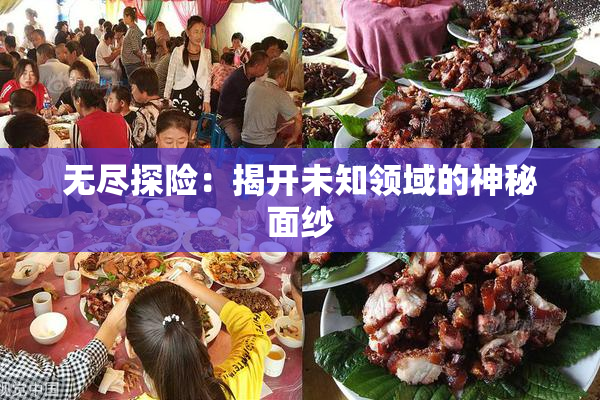 无尽探险：揭开未知领域的神秘面纱