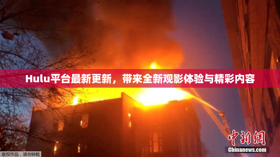 Hulu平台最新更新，带来全新观影体验与精彩内容