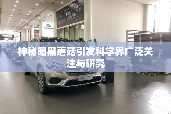 神秘暗黑蘑菇引发科学界广泛关注与研究