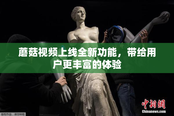 蘑菇视频上线全新功能，带给用户更丰富的体验