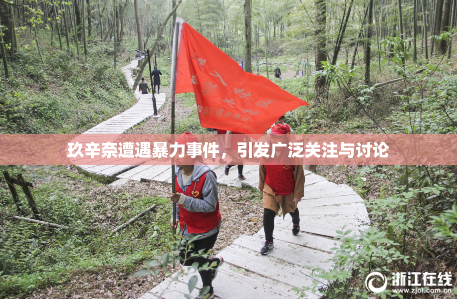 玖辛奈遭遇暴力事件，引发广泛关注与讨论