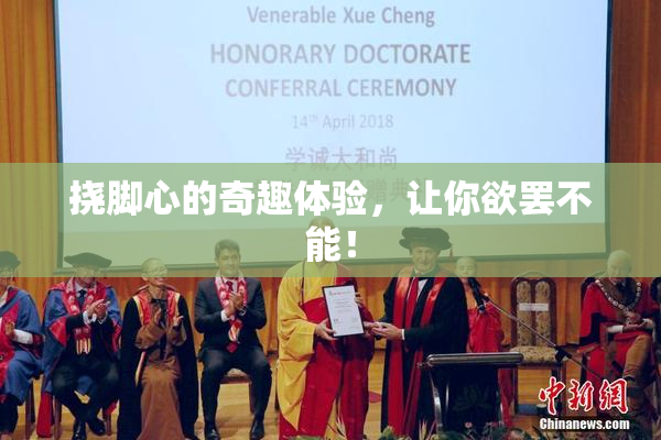 挠脚心的奇趣体验，让你欲罢不能！