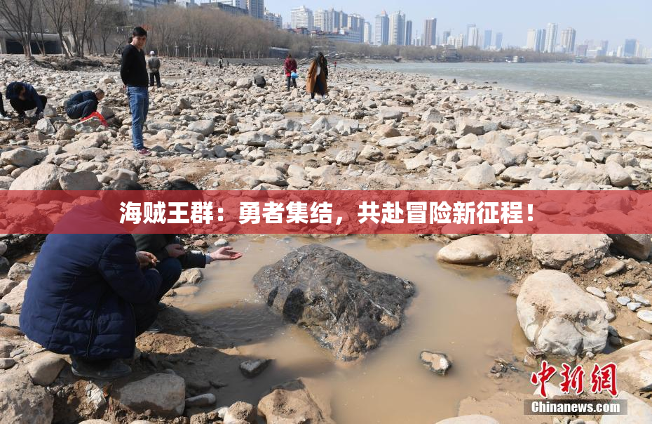 海贼王群：勇者集结，共赴冒险新征程！
