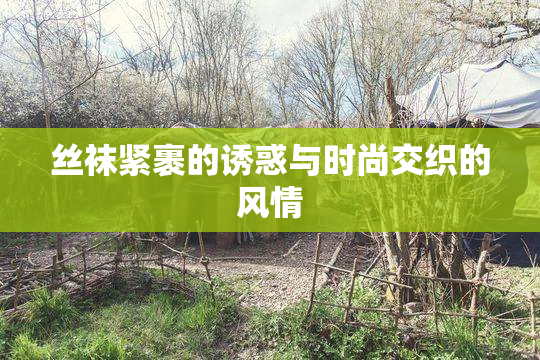 丝袜紧裹的诱惑与时尚交织的风情