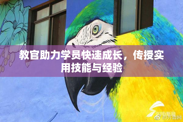 教官助力学员快速成长，传授实用技能与经验