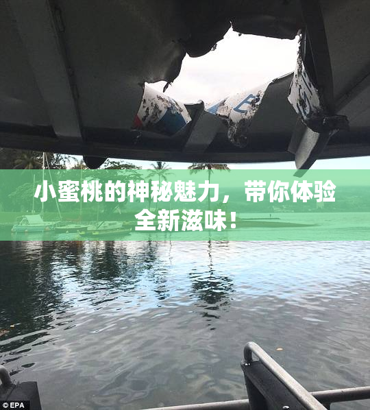 小蜜桃的神秘魅力，带你体验全新滋味！