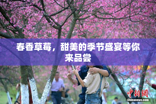 春香草莓，甜美的季节盛宴等你来品尝