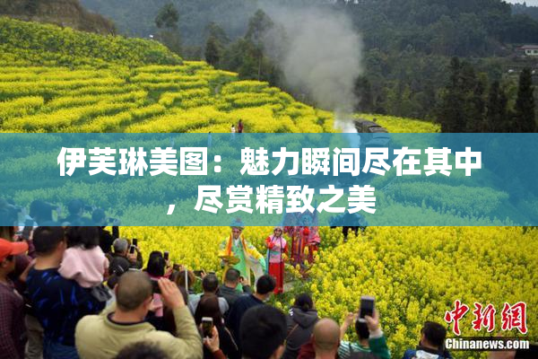 伊芙琳美图：魅力瞬间尽在其中，尽赏精致之美