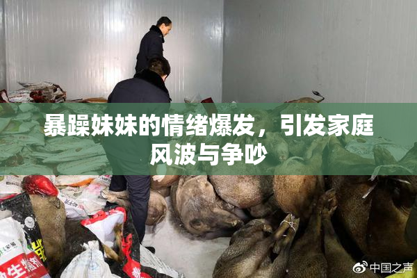 暴躁妹妹的情绪爆发，引发家庭风波与争吵
