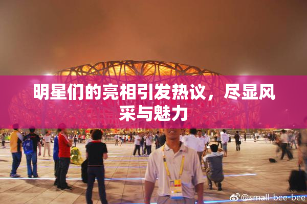 明星们的亮相引发热议，尽显风采与魅力