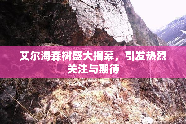 艾尔海森树盛大揭幕，引发热烈关注与期待