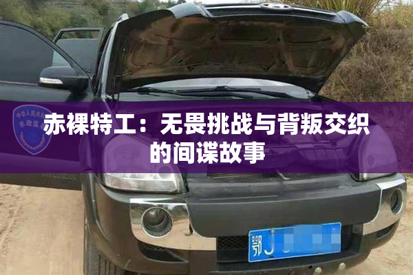 赤裸特工：无畏挑战与背叛交织的间谍故事