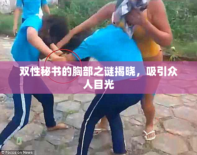 双性秘书的胸部之谜揭晓，吸引众人目光