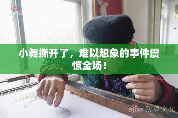 小舞撕开了，难以想象的事件震惊全场！