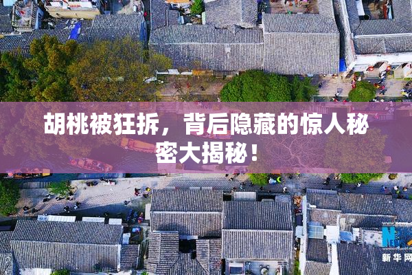 胡桃被狂拆，背后隐藏的惊人秘密大揭秘！