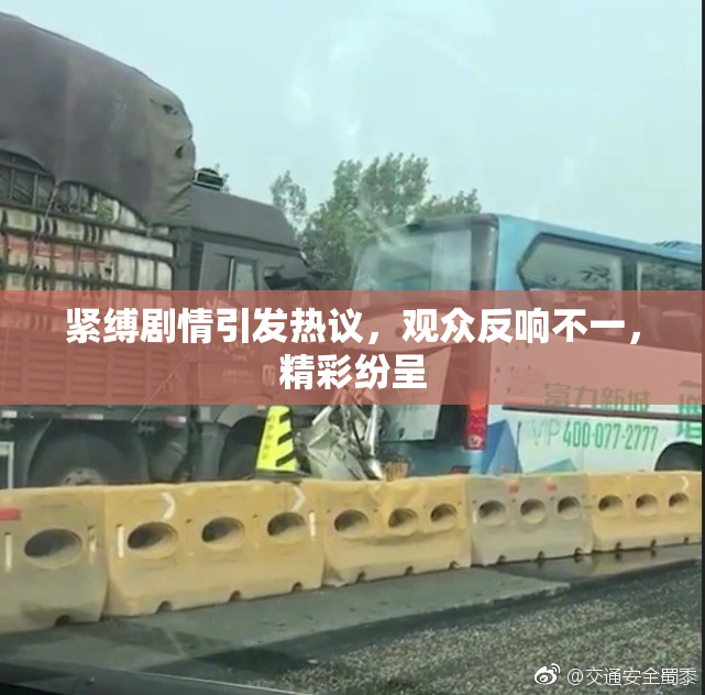 紧缚剧情引发热议，观众反响不一，精彩纷呈