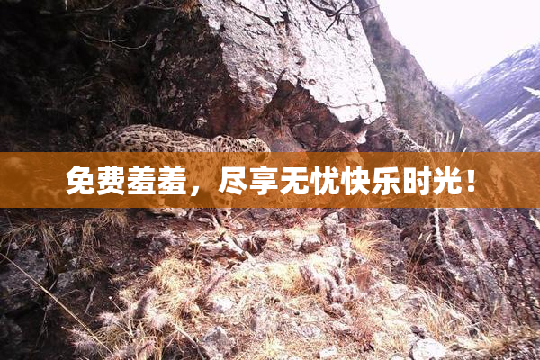 免费羞羞，尽享无忧快乐时光！