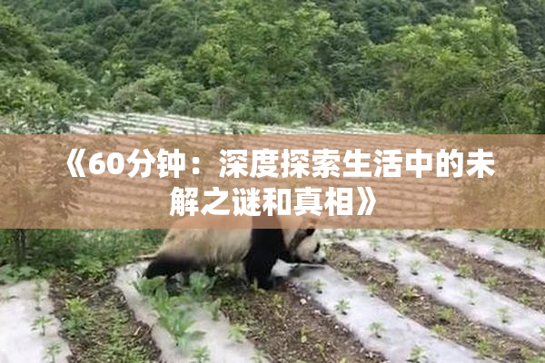 《60分钟：深度探索生活中的未解之谜和真相》