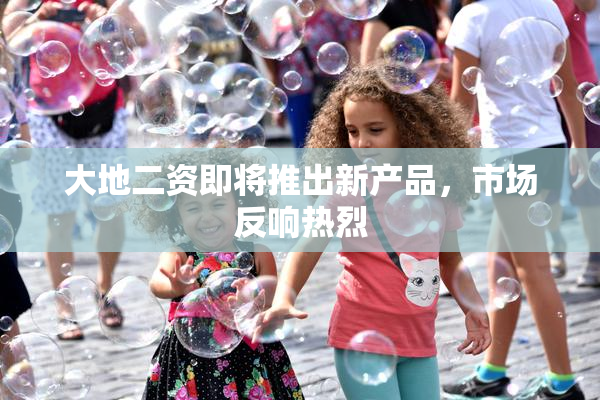 大地二资即将推出新产品，市场反响热烈