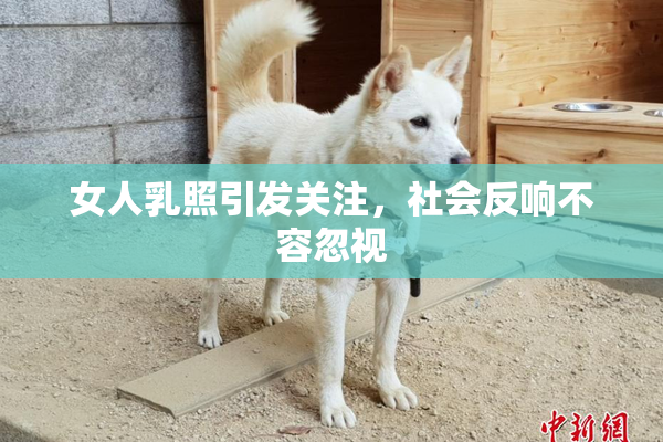 女人乳照引发关注，社会反响不容忽视