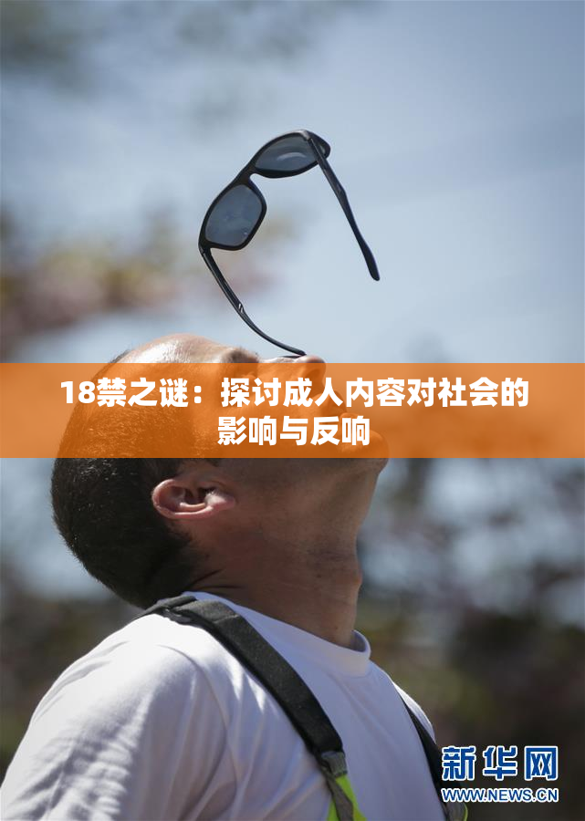 18禁之谜：探讨成人内容对社会的影响与反响