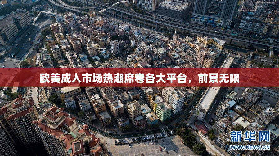 欧美成人市场热潮席卷各大平台，前景无限