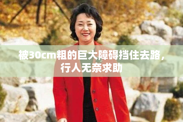 被30cm粗的巨大障碍挡住去路，行人无奈求助