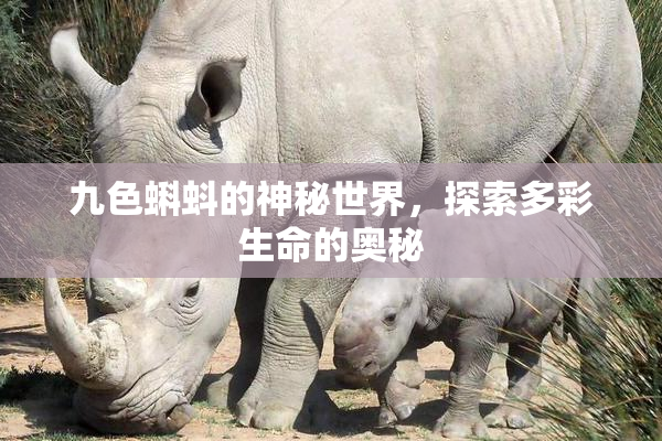 九色蝌蚪的神秘世界，探索多彩生命的奥秘
