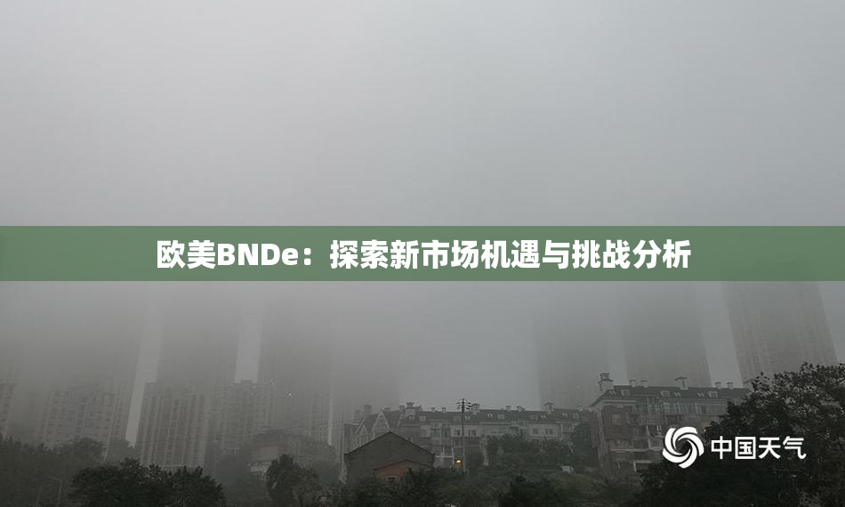 欧美BNDe：探索新市场机遇与挑战分析