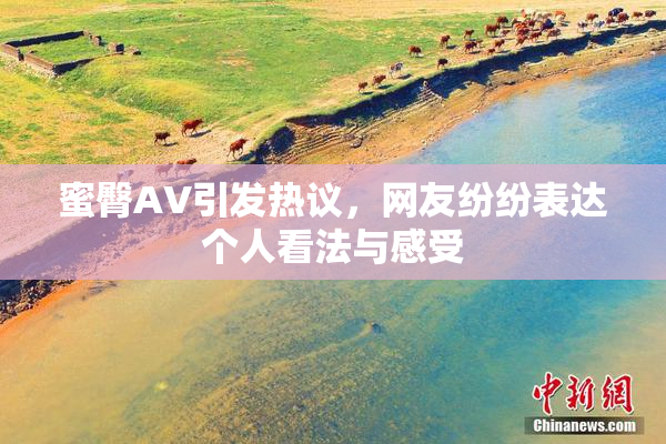 蜜臀AV引发热议，网友纷纷表达个人看法与感受